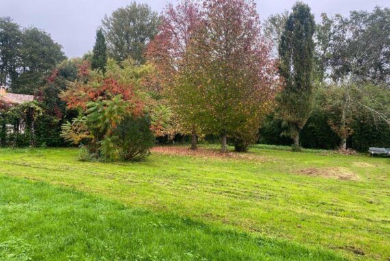 Saint-Sulpice-Et-Cameyrac - 33450