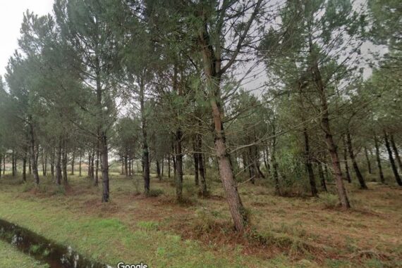 Andernos-les-Bains - 33510