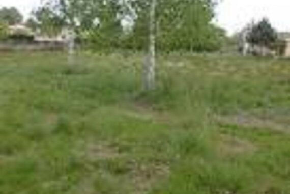 Salles - 33770