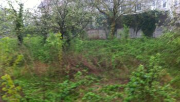 Saint-Selve - 33650