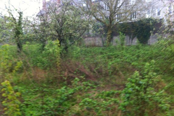 Saint-Selve - 33650