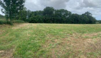 Rion-Des-Landes - 40370