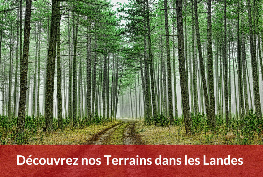 terrain a batir landes